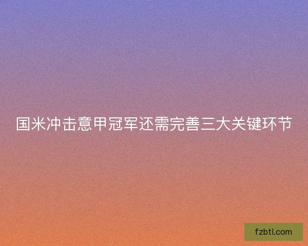 国米冲击意甲冠军还需完善三大关键环节